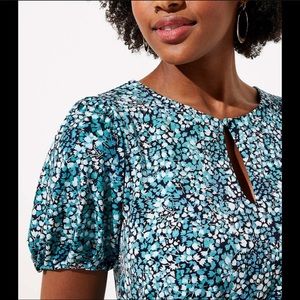 Loft Fit and Flare Dress